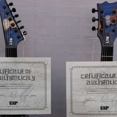 ESP LTD (2 Guitars) Limited Edition Biotech w/Custom Graphic Combo M Vampire & Vampire Viper image 2