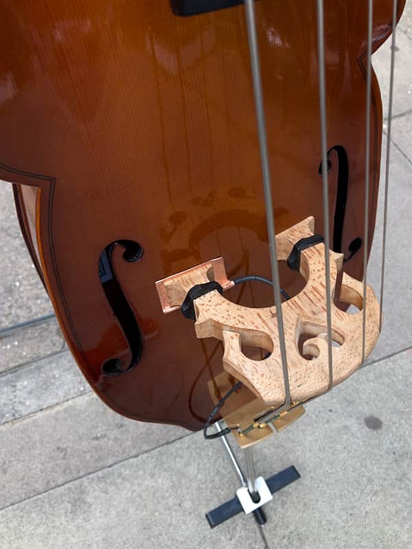 Eminence Portable Upright Bass | Reverb