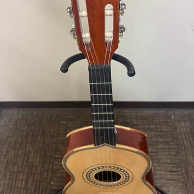 H. Jimenez Vihuela LV2 w/ Padded Gig Bag image 8
