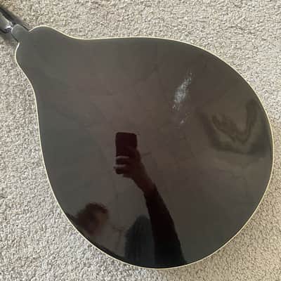 Sunburst 8 String Mandolin Project, Spruce Top, Mahogany Body, Rosewood Fingerboard image 8