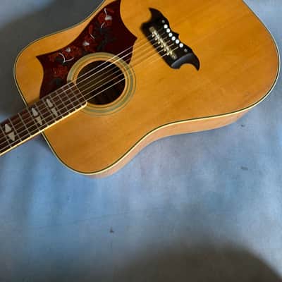 1970 Terada FW-504 Hummingbird Acoustic Guitar MIJ image 10