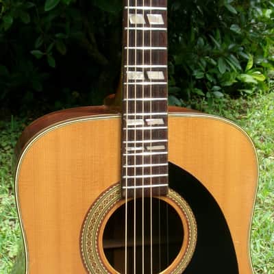 Pearl Dreadnought Acoustic Guitar made by Hayashi Gakki CIRCA 1977 image 4