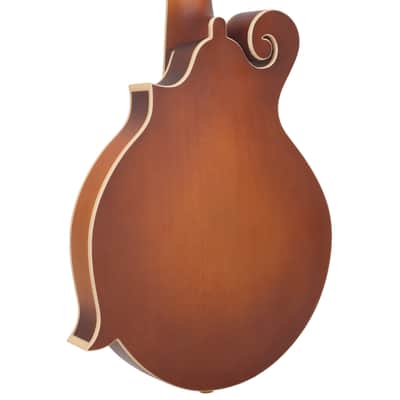 Gold Tone F-10 10-String F-Style Mandolin w/ Pickup & Case — Vintage Sunburst image 10