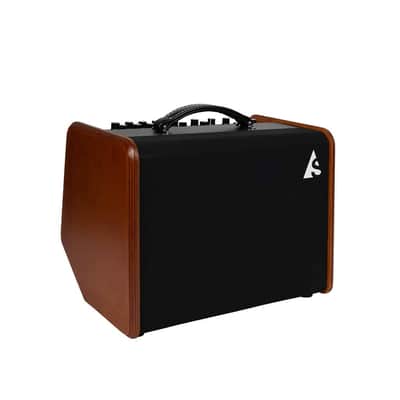 Godin Acoustic Solutions ASG-8 Wood Acoustic Combo image 3