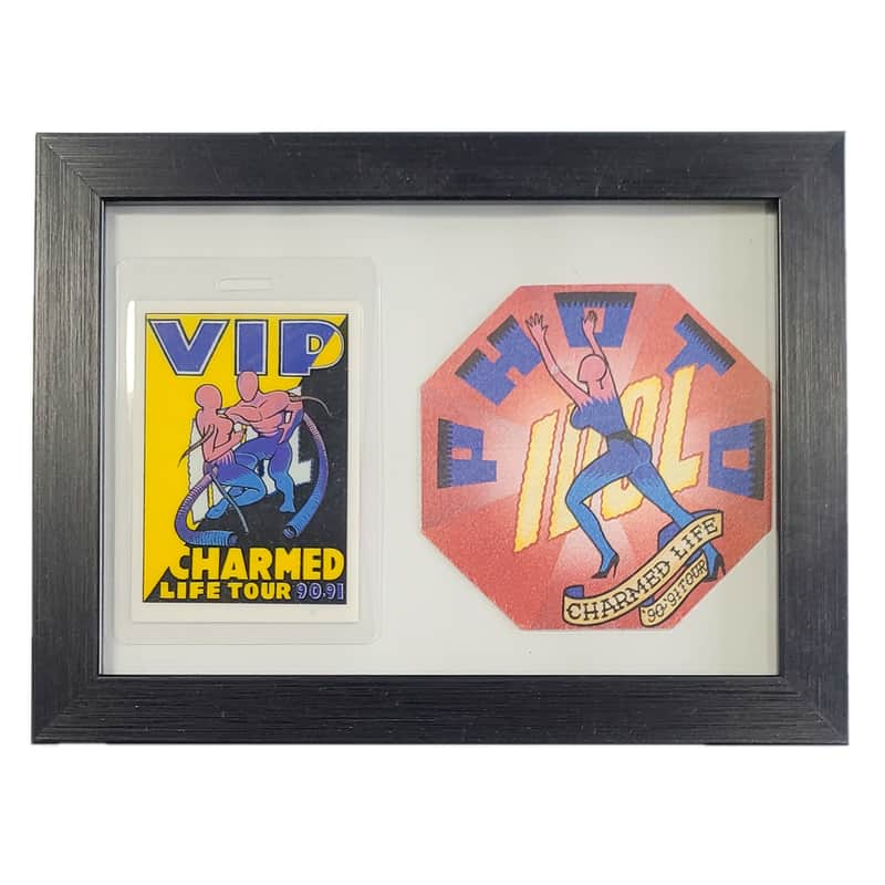 BILLY IDOL "CHARMED LIFE" PAIR OF BACKSTAGE PASSES image 1