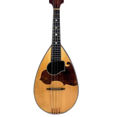 Neapolitan Mandolin G. Kasermann Style 1920's image 9