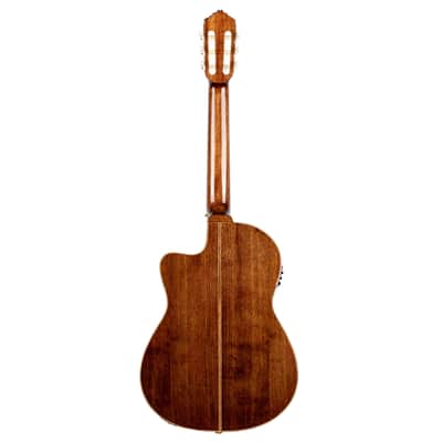 Ortega RCE159MN Performer Series Solid Cedar Top Mahogany Neck Cutaway Nylon 6-String Classical Acoustic-Electric Guitar w/Gig Bag image 5