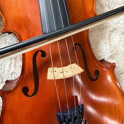 Strobel Viola MA 85 2023 image 2