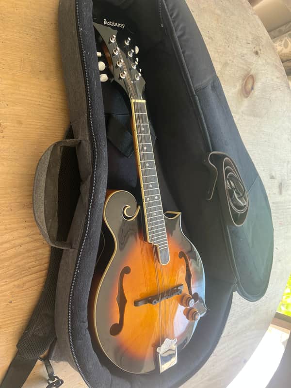 Ashbury Am-380 F Style Mandolin Electro Acoustic image 1