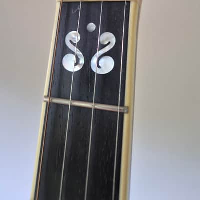 Deering Calico 5-String Banjo 2010s - with hard case, capo spikes, capo image 5
