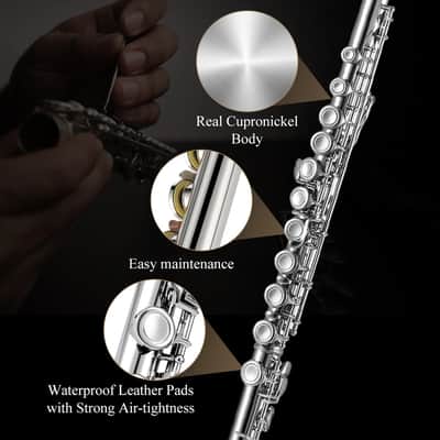 Concert Flute for Students – Beginner School Band Flute with Carry Case, Stand, Cleaning Kit & Accessories image 5