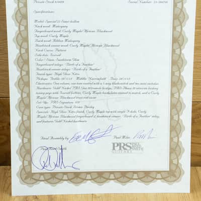 PRS Private Stock Special 22 Semi-hollow Sandstorm Dragons Breath Glow, Birds of a Feather 10489 image 12