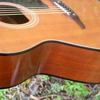 Takamine Elite F90 OOO size Guitar Nitro, Zero fret and Slotted