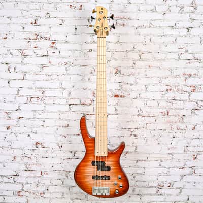 Roscoe Guitars - Keith B Roscoe Standard 5 String Bass, Sunburst Flame - w/Bag - x0037 - USED image 2