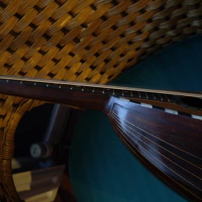 Francesco Salome Fabrica Di Mandolini Neapolitan Bowl-Back Mandolin - Natural image 12