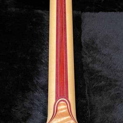 Alembic "Little Darling" Custom ILG6 2006 Natural image 8
