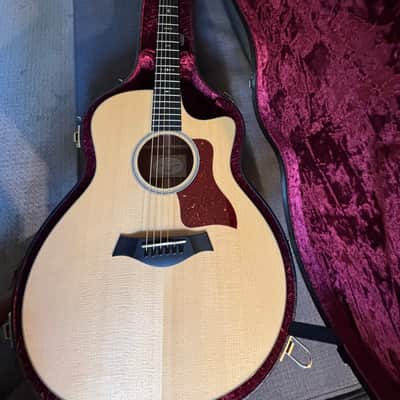 2016 Taylor 516ce image 4