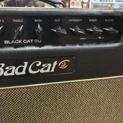 2026 Bad Cat 30 Mod Shop Edition 1x12 Combo w/cover image 5