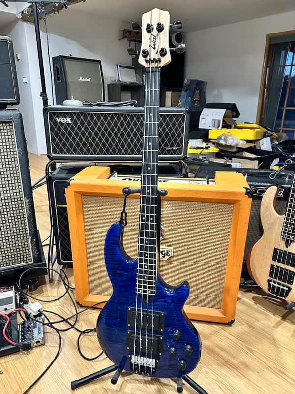 Wal MKII 2019 - Blue Gloss image 1