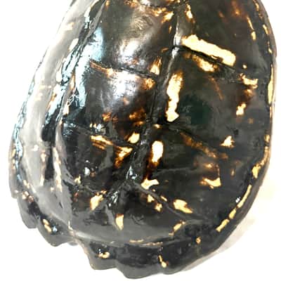 Turtle Shell Tenor Ukulele image 2