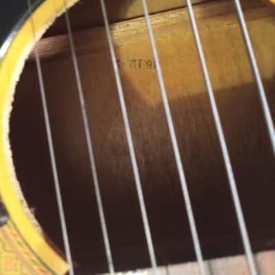 Atomic Guitar, High Gloss, Steel strings image 2