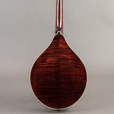 Collings MT2 O 2024, Cream Gloss image 8