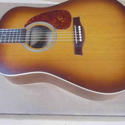 Seagull Entourage Rustic Dreadnought Acoustic Guitar Player!! image 2