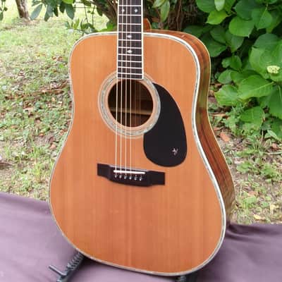 1979 Yairi YW-500P D-35 style + Vintage Hard Case image 4