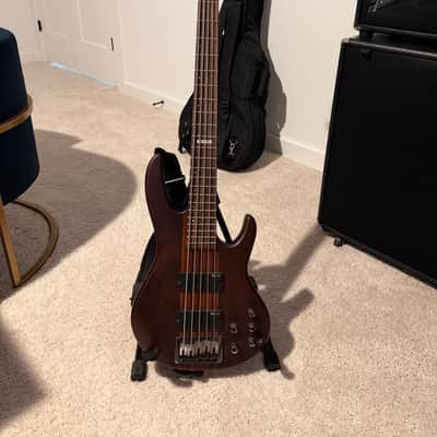 ESP LTD D-5 2010s - Natural Satin with Mahogany/Maple Neck image 1