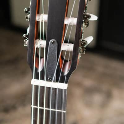 Taylor 314ce-N Grand Auditorium Nylon Acoustic/Electric Guitar with Hardshell Case image 5