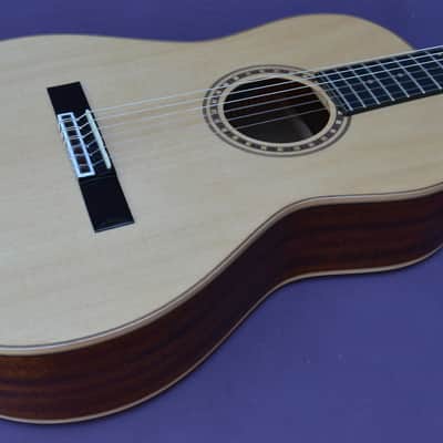 Bedell Performance Series OHN-18E-G Ac/El Nylon Parlor Guitar-GigBag- Rare Model image 3