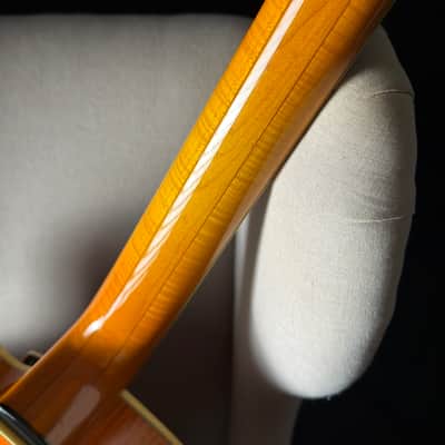 Kiso Ribbecke Archtop 17" image 15
