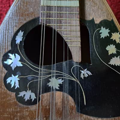 CATANIA SILVESTRI Sicilian concert mandolin with modern fretboard  1900s image 4