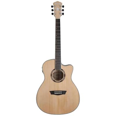 Washburn Apprentice AG40CE