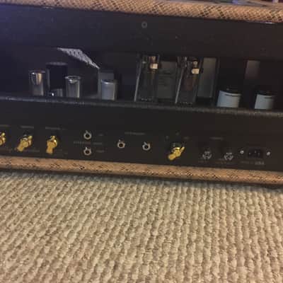 Blades Custom Amplification Firebolt 2015 Snake Skin image 2