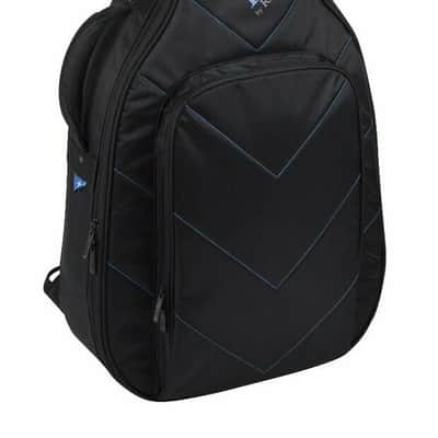 Reunion Blues RBX Acoustic / Dreadnought Gig Bag / case \ RBX-A2 image 1