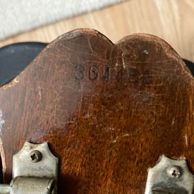 Epiphone FT-45n Cortez 1965 image 7