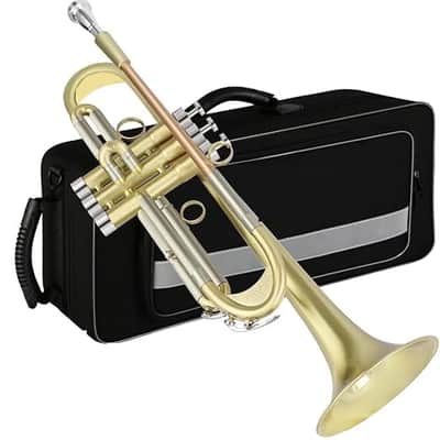 G.R. Wayne Bergeron Studio GP Trumpet Mouthpiece [Used] | Reverb