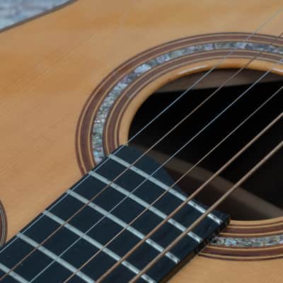 Manzer Baritone "Pat Metheny" image 24