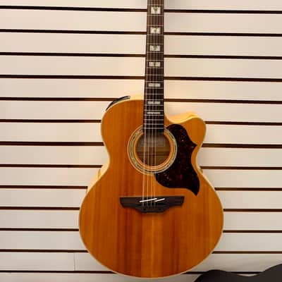 Takamine EG523 SC-12 Natural 12 String Acoustic Electric with Case - Pre Owned image 2