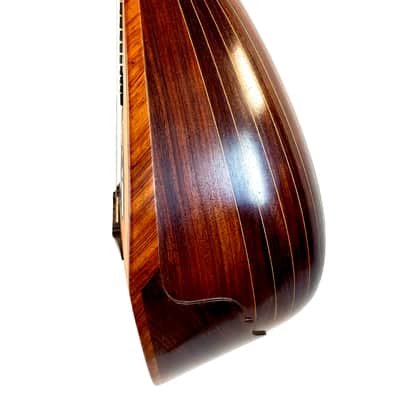 Mandoline de Concert Luigi Tamagno de 1904 image 7