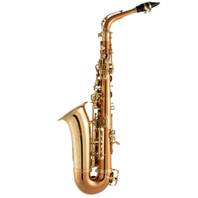 Selmer SAS511C Intermediate Eb Alto Saxophone Black Nickel Plated image 2