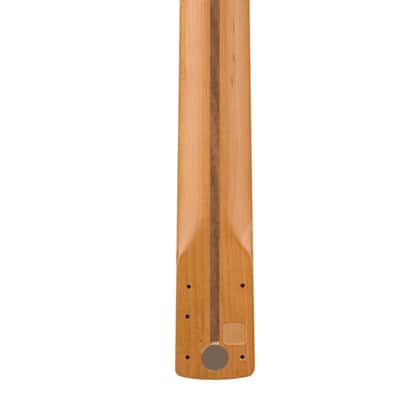Fender American Pro II Strat Neck, 22 Narrow Tall Frets, 9.5", Roasted Maple image 2