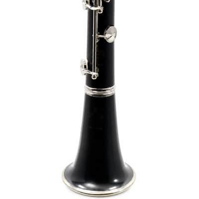 Buffet Crampon R13 Professional Bb Clarinet in Grenadilla SN 542908 image 6