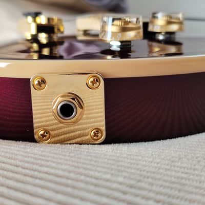 EVH Wolfgang Special TOM Oxblood image 17