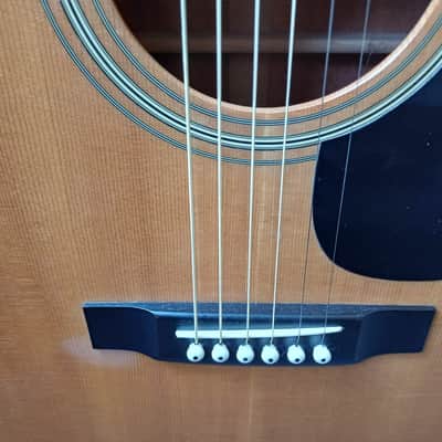 C.F. Mountain W-300 70s Great Martin copie from Japan, Hard case image 3