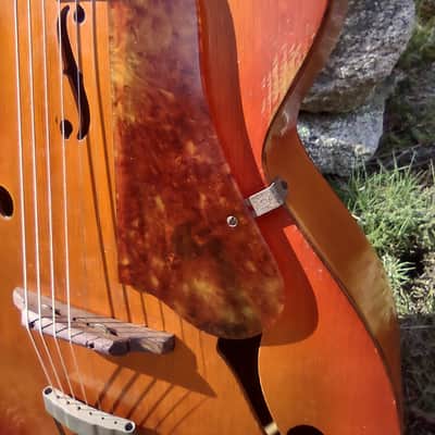 Kay Lark Junior 1930's-40's - Orange burst image 3