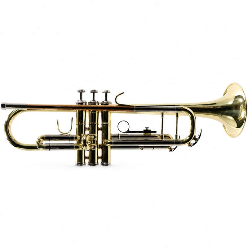 Bach BTR202 Student Bb Trumpet in Lacquer SN R11461 image 1