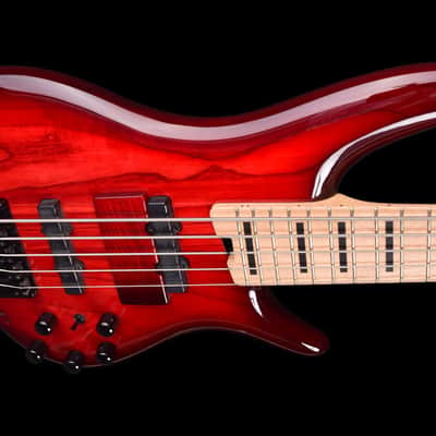Ibanez ANB205 Adam Nitti Signature 2019 - Transparent Wine Red Burst image 3