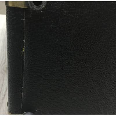 Peavey Ecoustic e20 image 4
